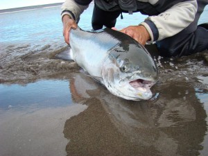 рыбалка в Патагонии, Аргентина
