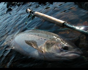 рыбалка на Кольском полуострове река Поной лагерь Ача