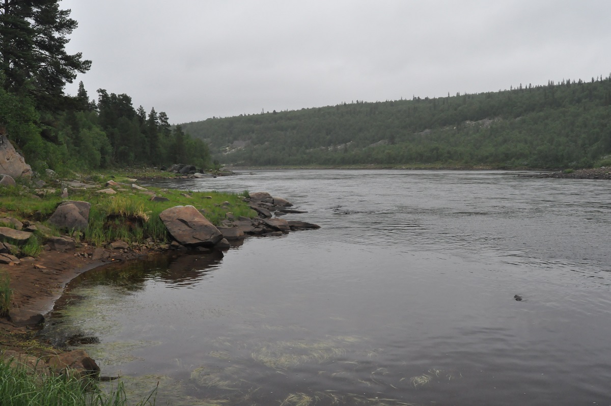 река Поной, Жениховский порог, лагерь Пача